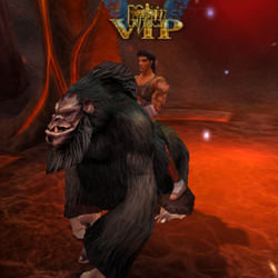 Gorilla